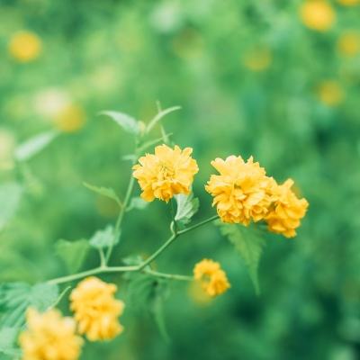 bt篮球手游官方下载